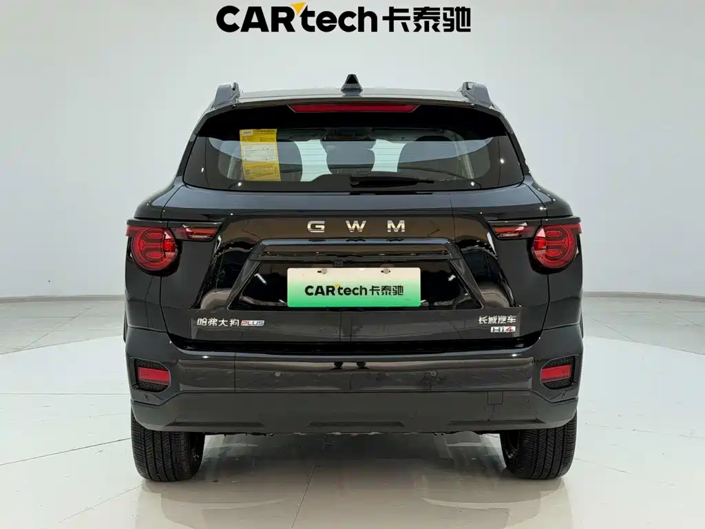 Haval Big Dog PLUS New Energy — фото 9