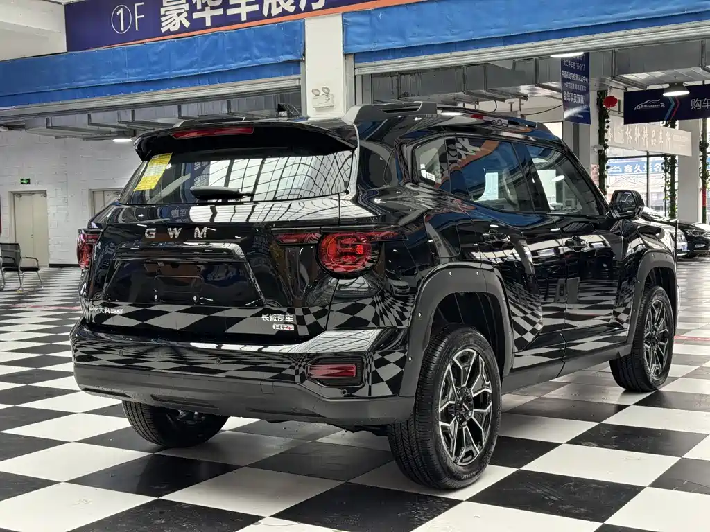 Haval Big Dog PLUS New Energy — фото 7