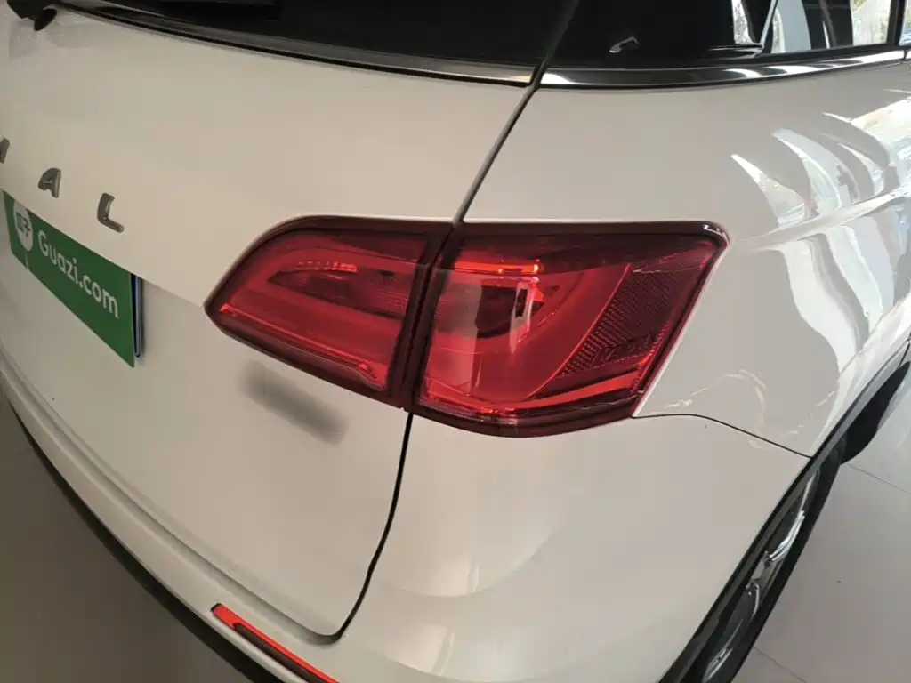 Haval H6 Coupe — фото 8