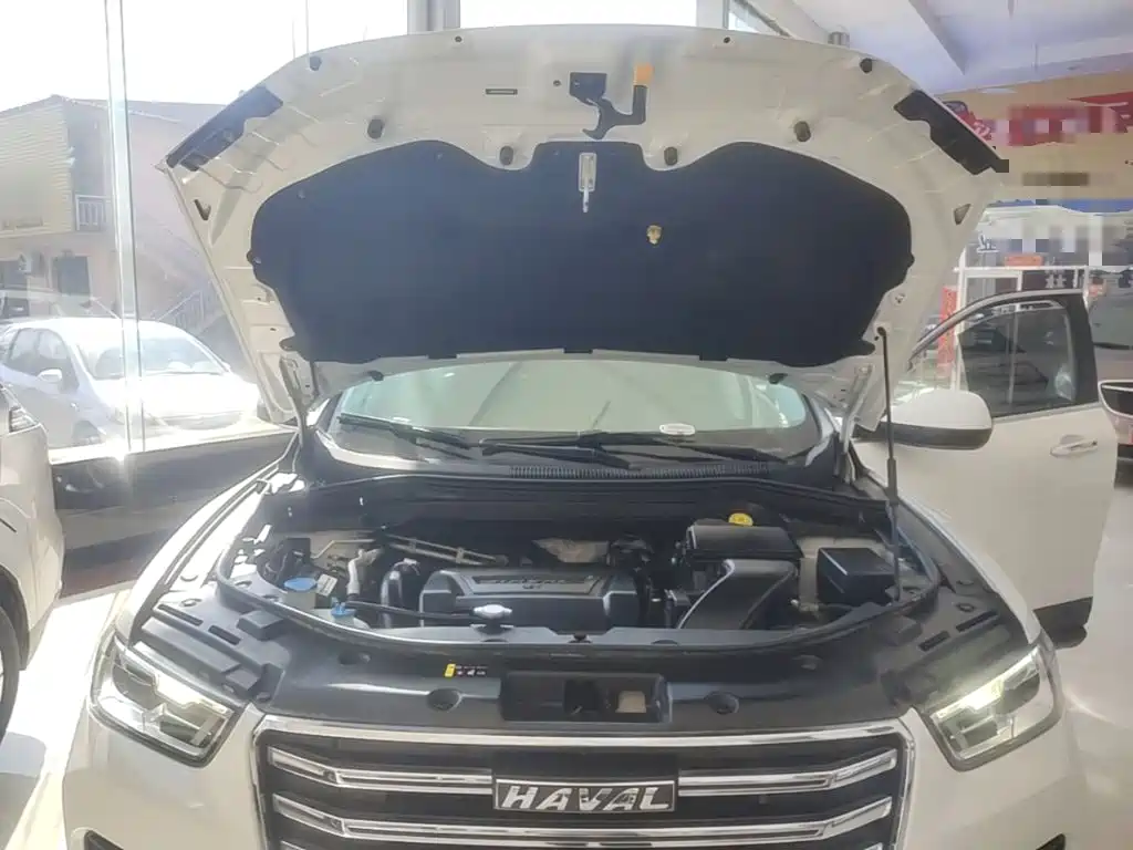 Haval H2s — фото 20