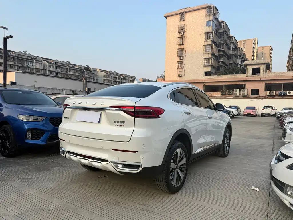 Haval F7x — фото 11