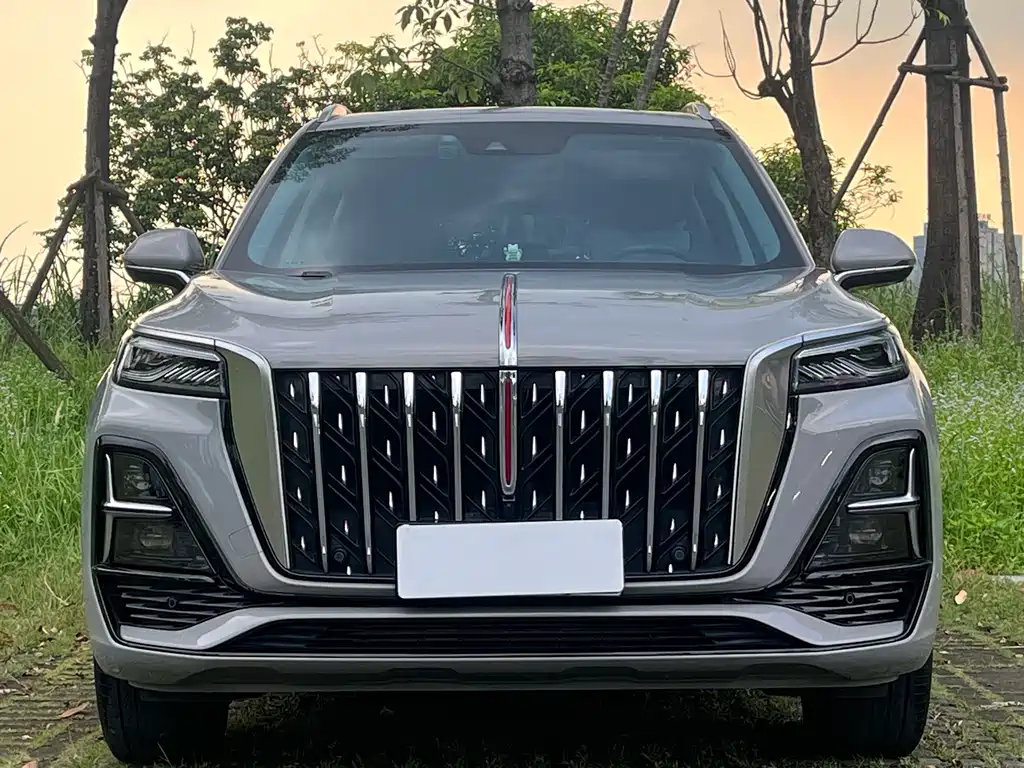 Hongqi Hongqi HS5 — фото 2