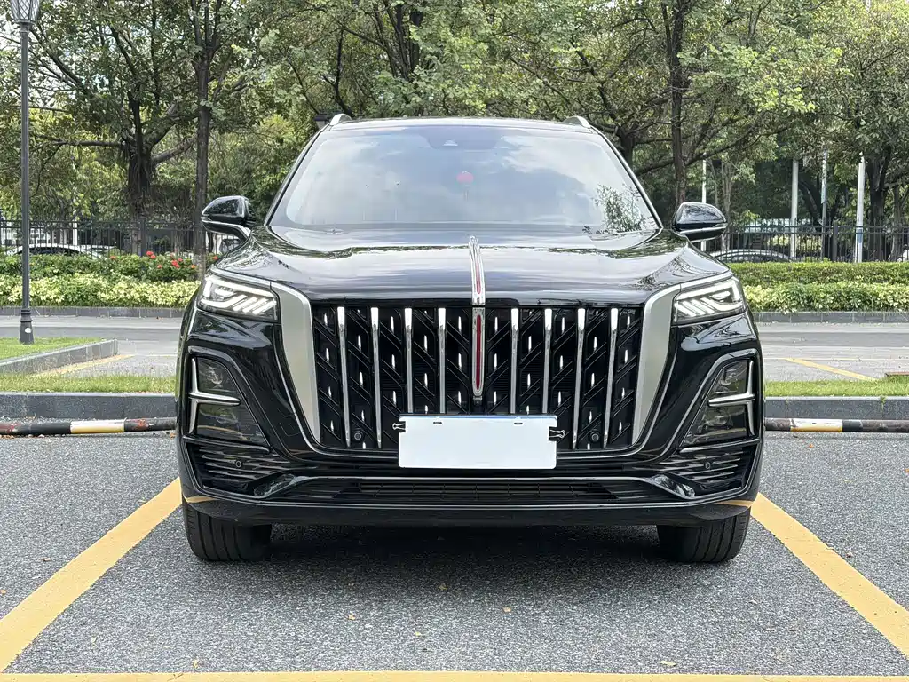 Hongqi Hongqi HS5 — фото 2