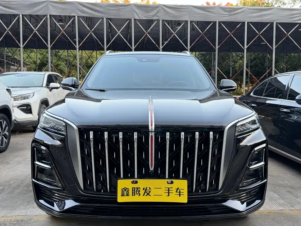 Hongqi Hongqi HS5 — фото 2
