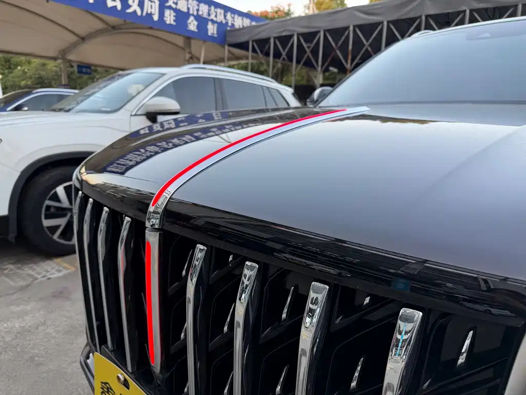 Hongqi Hongqi HS5 — фото 24