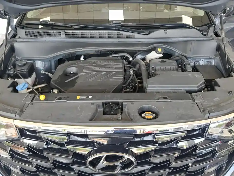 Hyundai Custo — фото 10