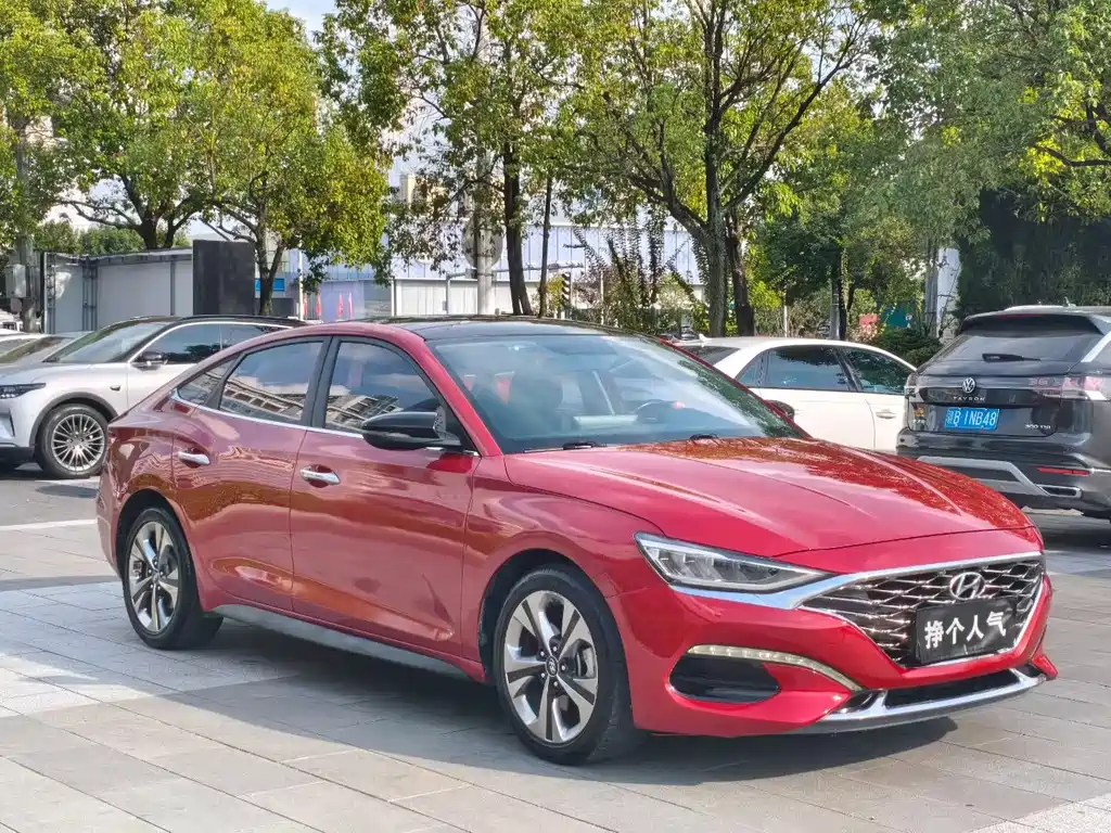 Hyundai Fista — фото 3