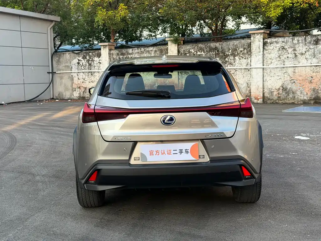 Lexus UX New Energy — фото 11