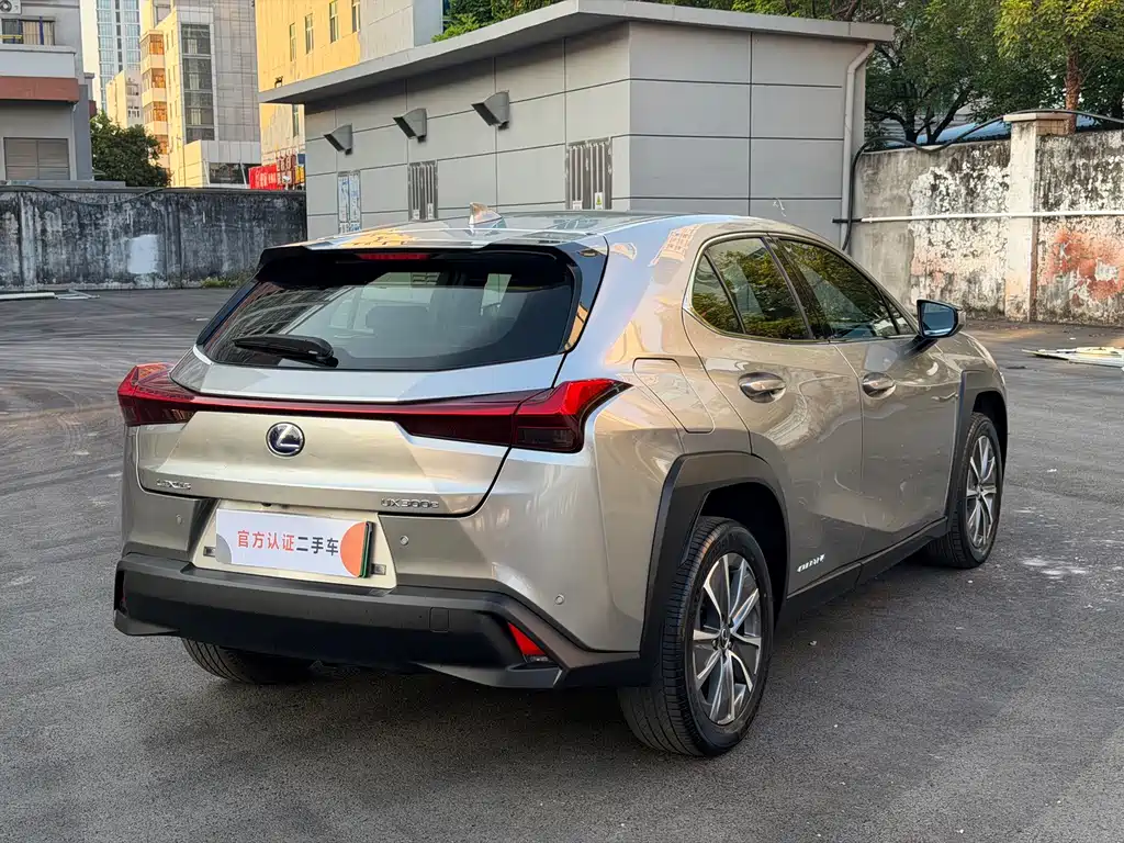 Lexus UX New Energy — фото 13