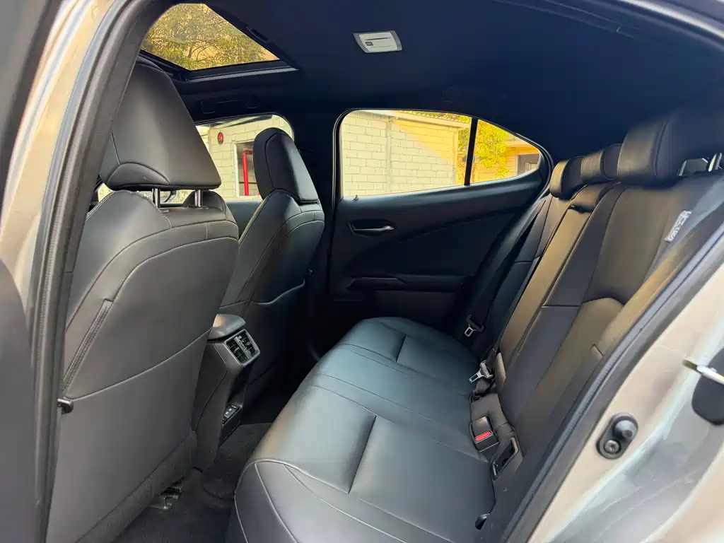 Lexus UX New Energy — фото 5