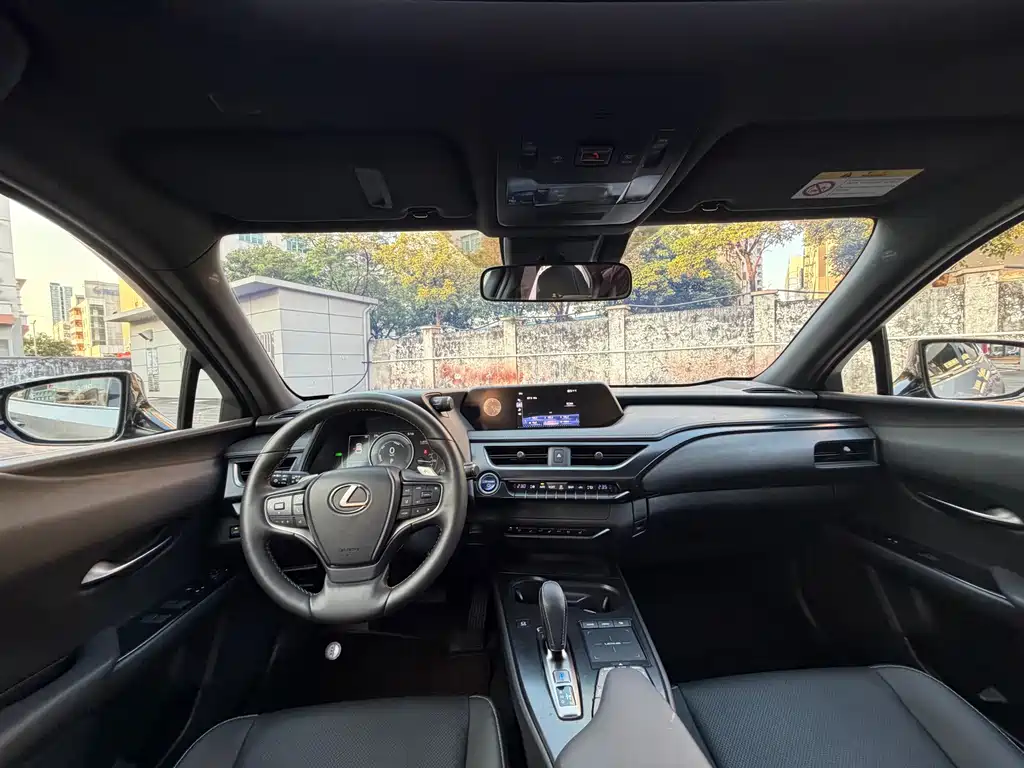 Lexus UX New Energy — фото 6