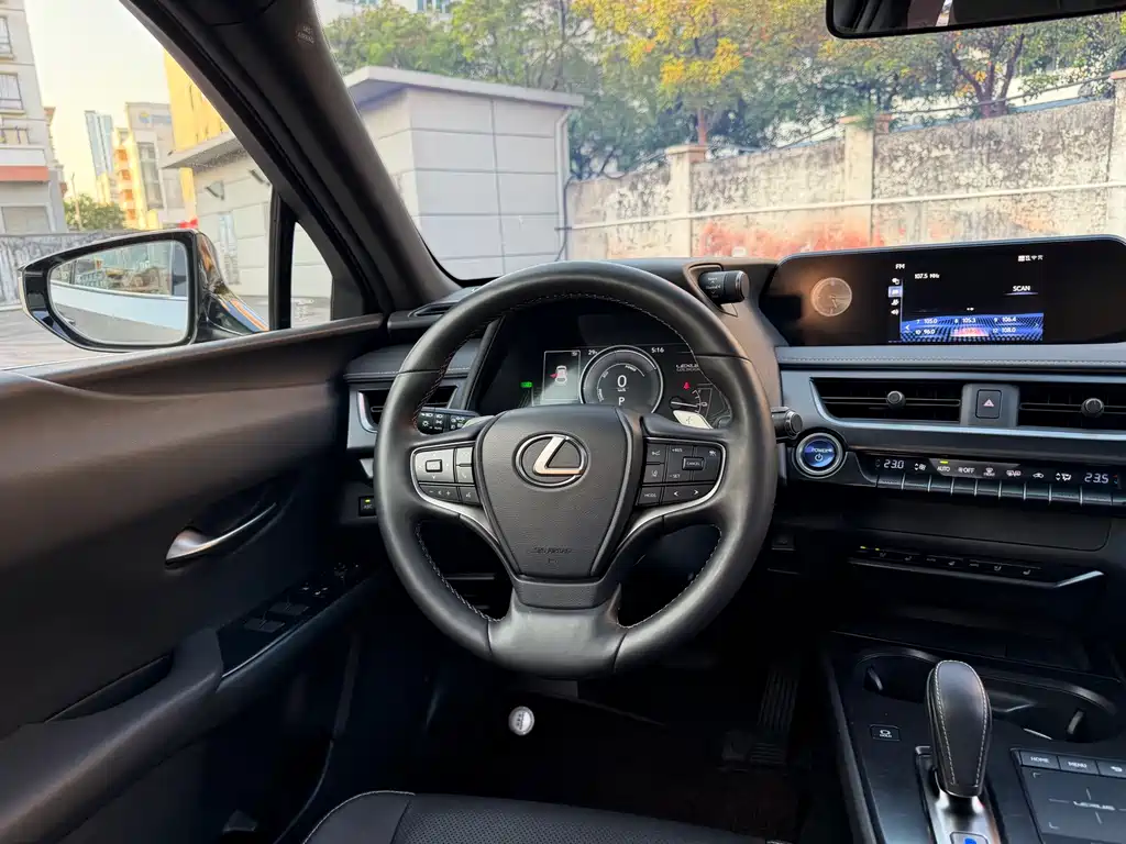 Lexus UX New Energy — фото 7