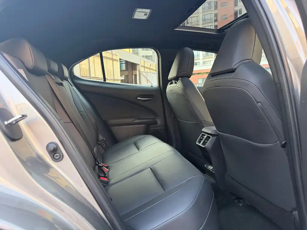 Lexus UX New Energy — фото 9