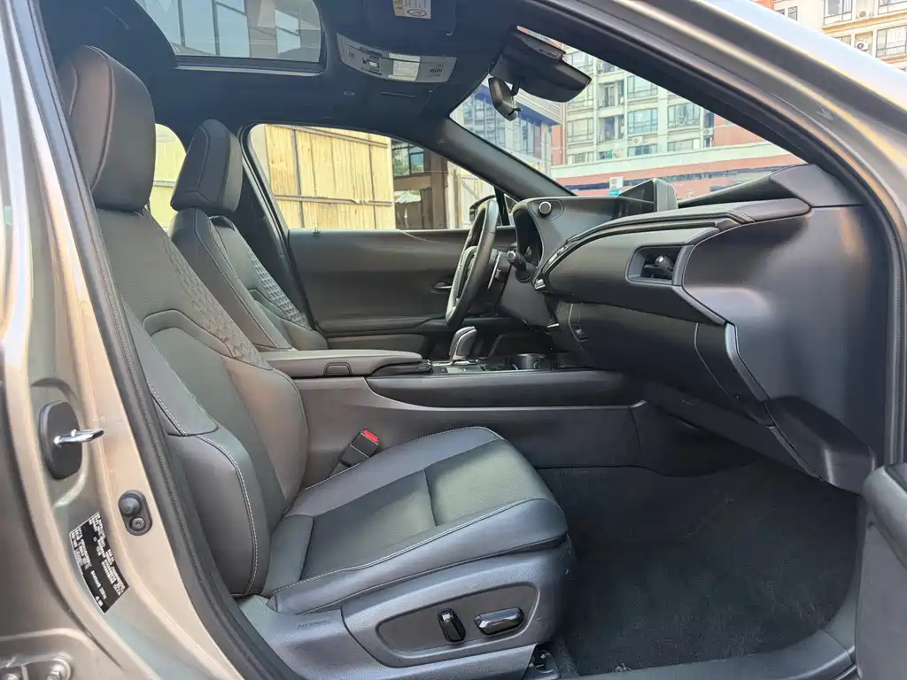 Lexus UX New Energy — фото 10