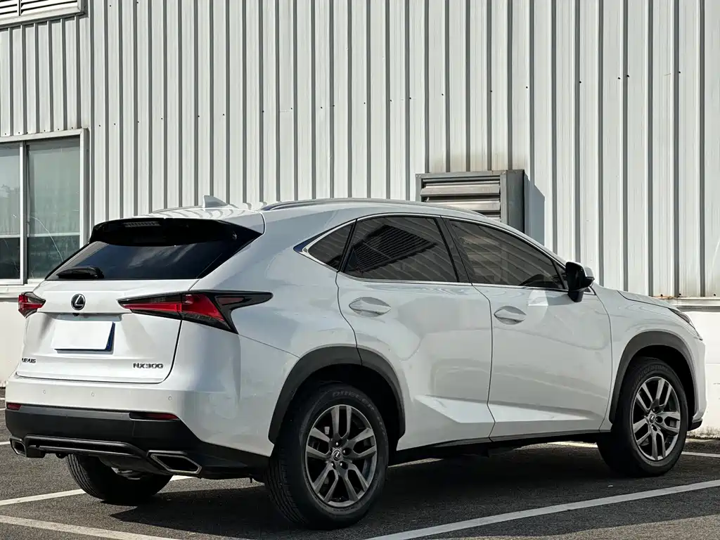 Lexus NX — фото 9