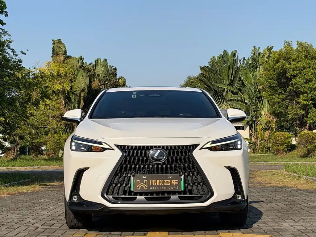 Lexus NX New Energy — фото 2