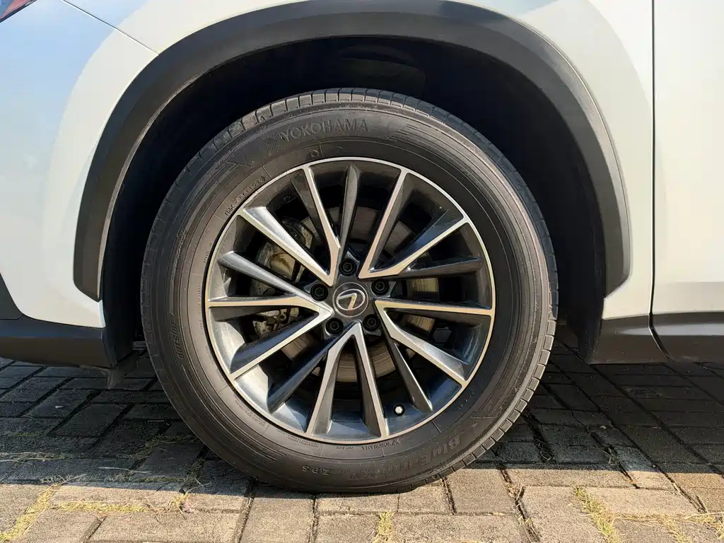 Lexus NX New Energy — фото 18