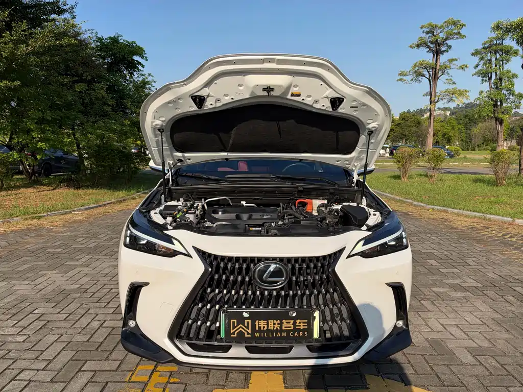 Lexus NX New Energy — фото 19