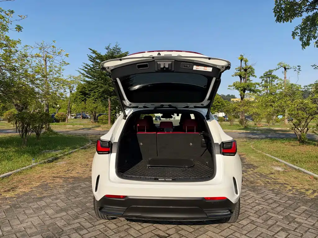 Lexus NX New Energy — фото 20