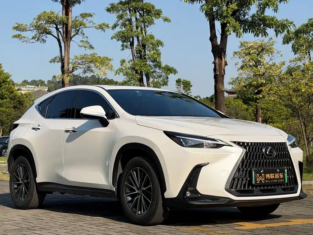 Lexus NX New Energy — фото 3