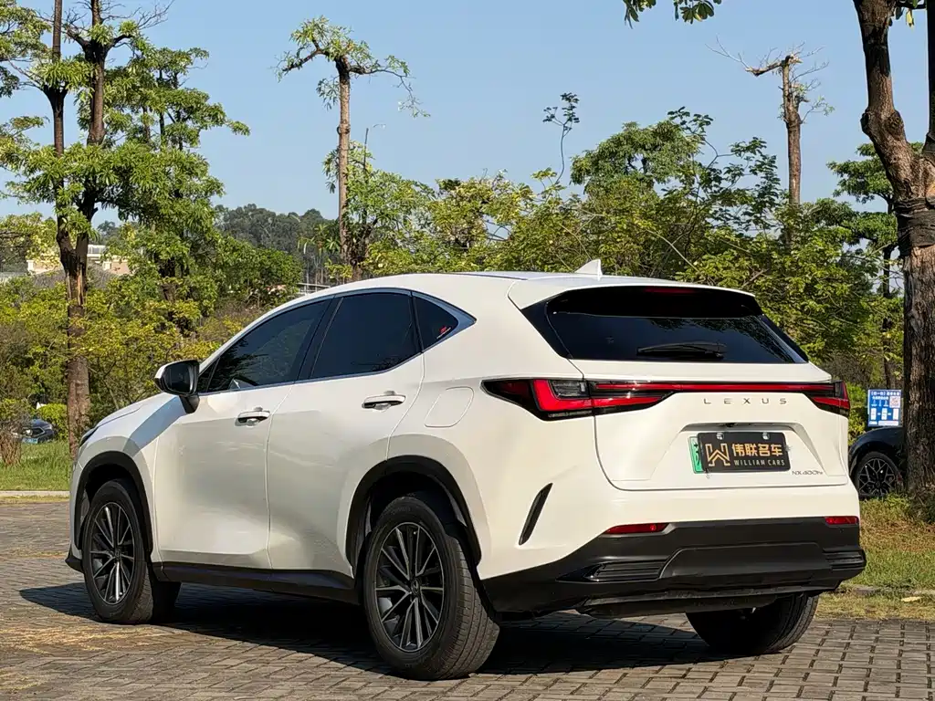 Lexus NX New Energy — фото 4