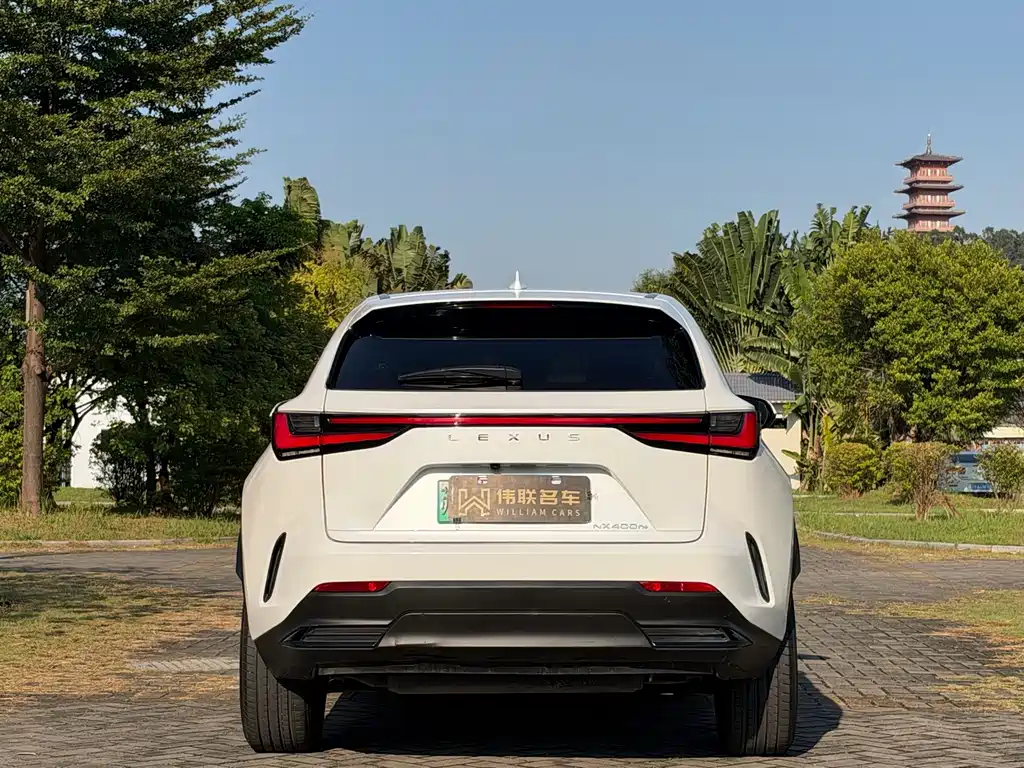 Lexus NX New Energy — фото 5