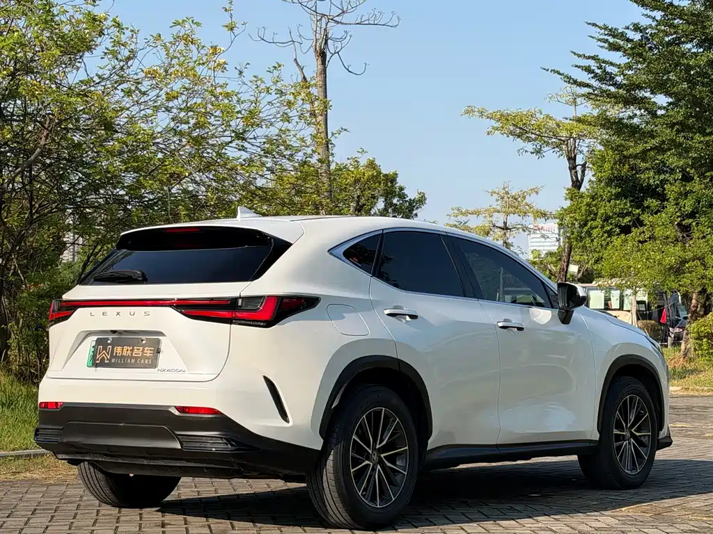 Lexus NX New Energy — фото 6