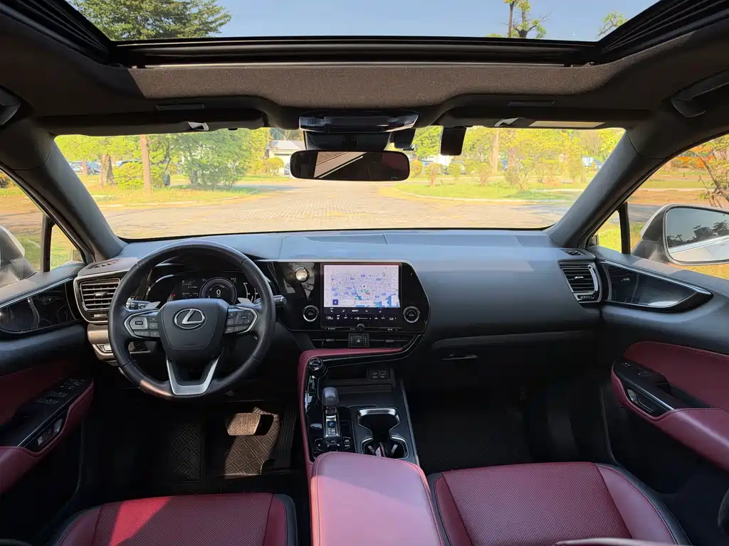 Lexus NX New Energy — фото 8