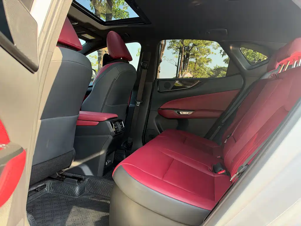 Lexus NX New Energy — фото 9
