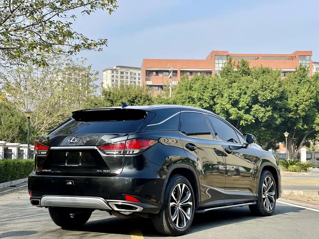 Lexus RX — фото 9