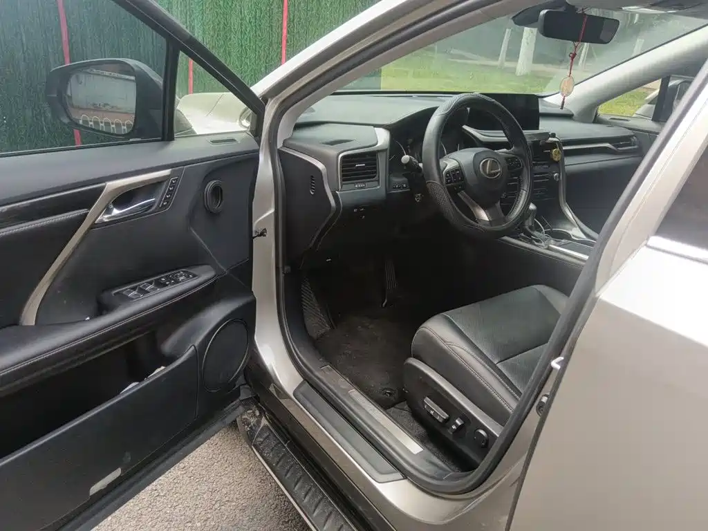 Lexus RX — фото 14