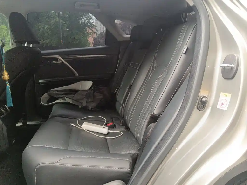 Lexus RX — фото 15