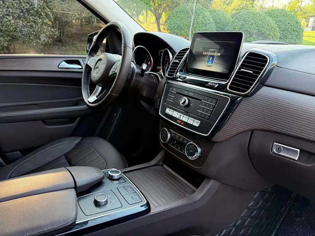 Mercedes-Benz GLE (Import) — фото 11