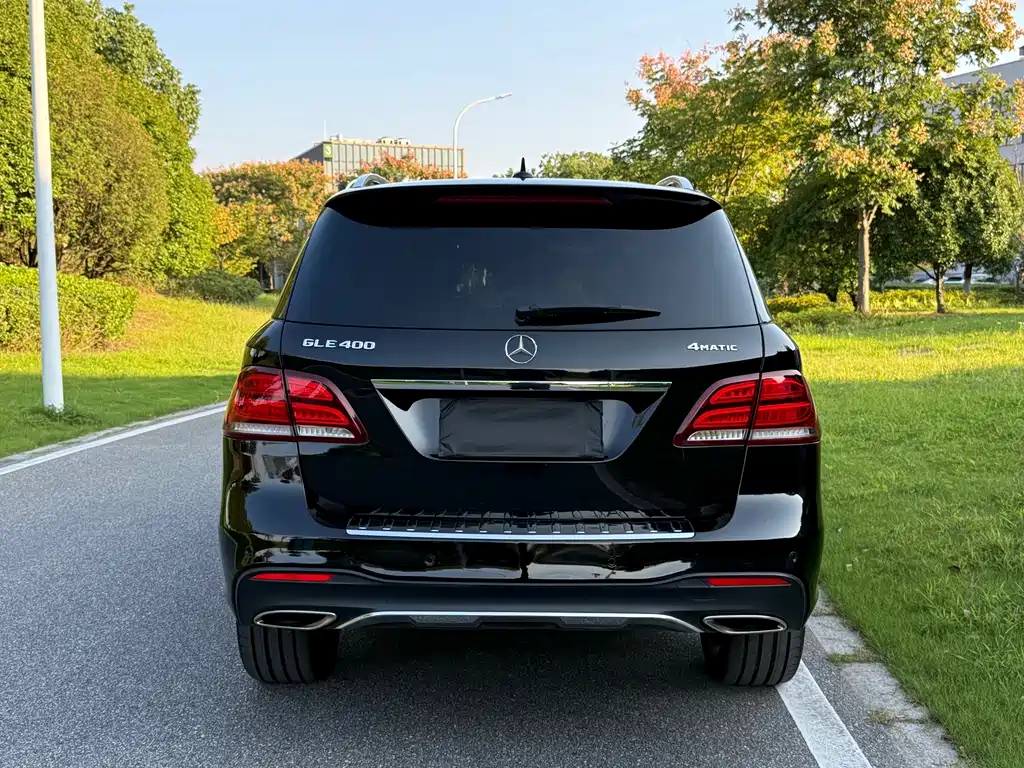 Mercedes-Benz GLE (Import) — фото 14