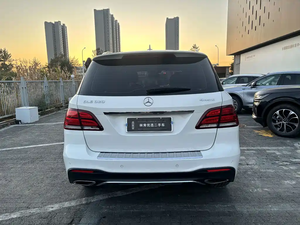 Mercedes-Benz GLE (Import) — фото 9