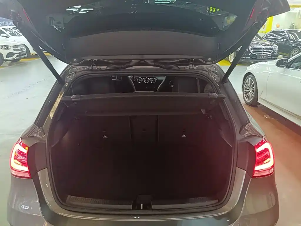 Mercedes-Benz A-Class AMG (Import) — фото 19
