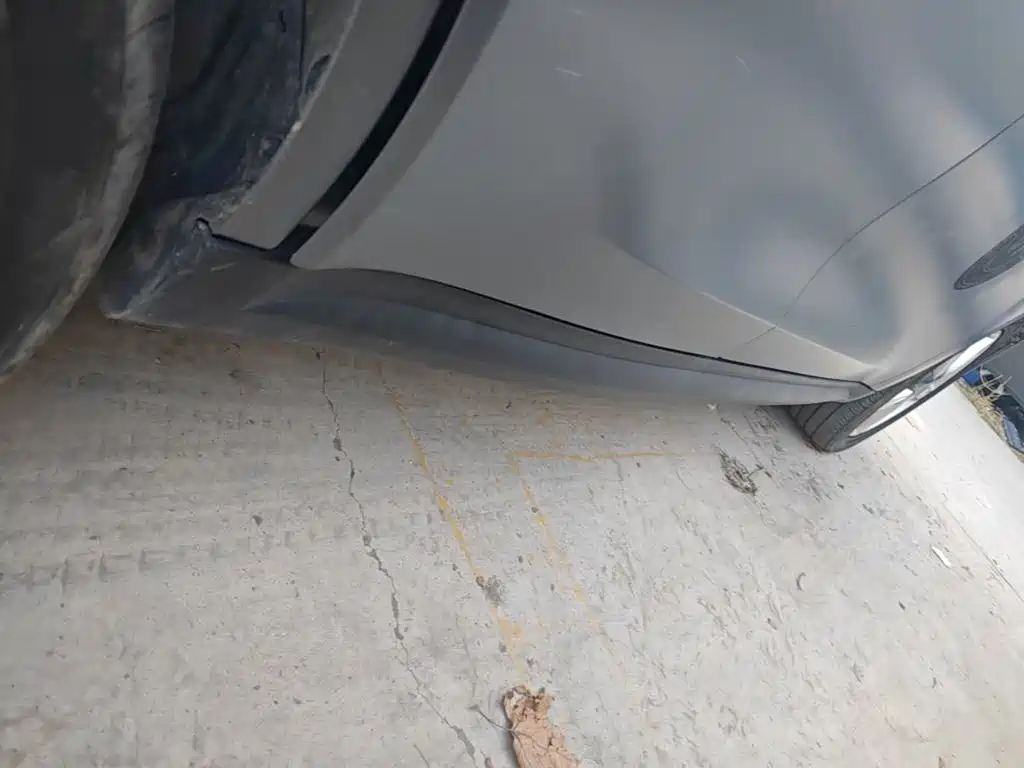 Ora Ora Good Cat — фото 21