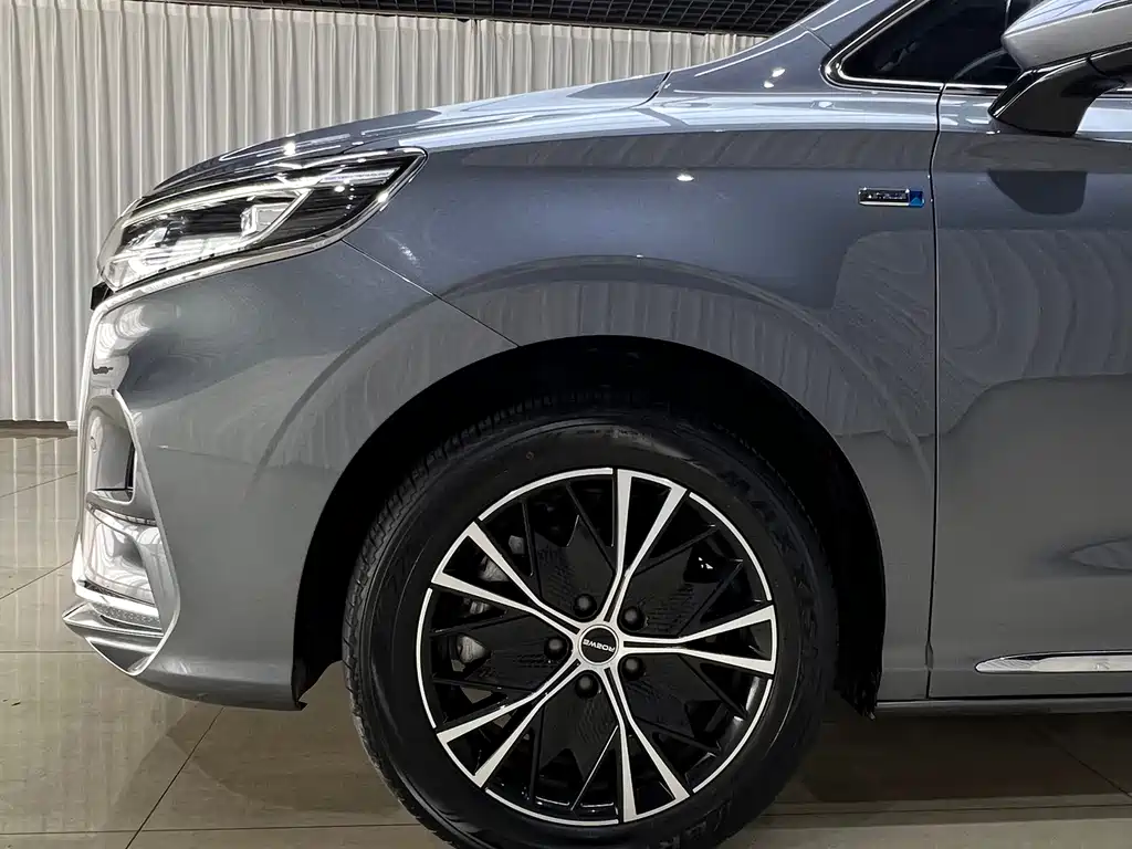 Roewe iMAX8 — фото 21