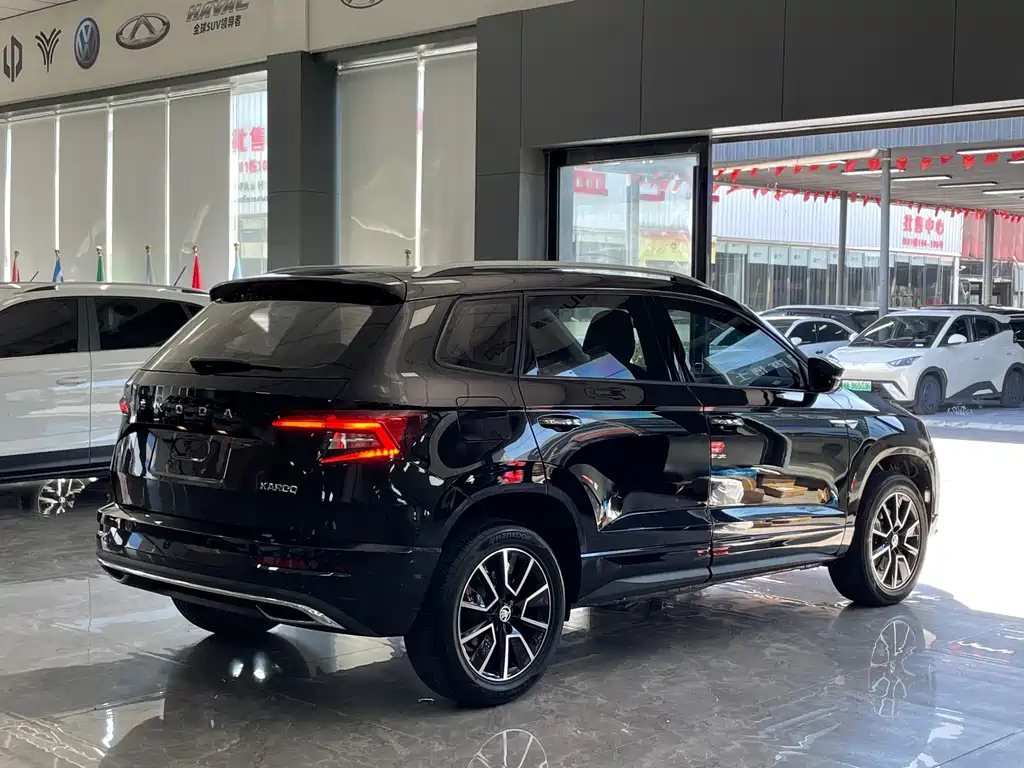 Skoda Karoq — фото 17