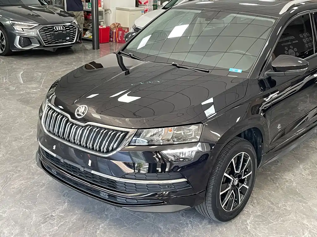 Skoda Karoq — фото 18