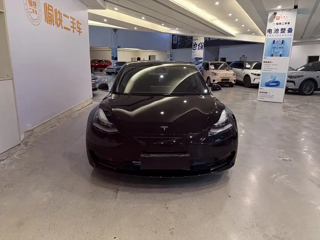 Tesla Model 3 — фото 2