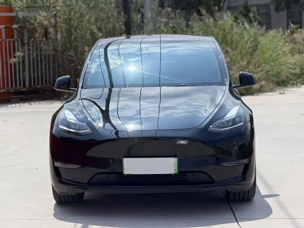 Tesla Model Y — фото 2