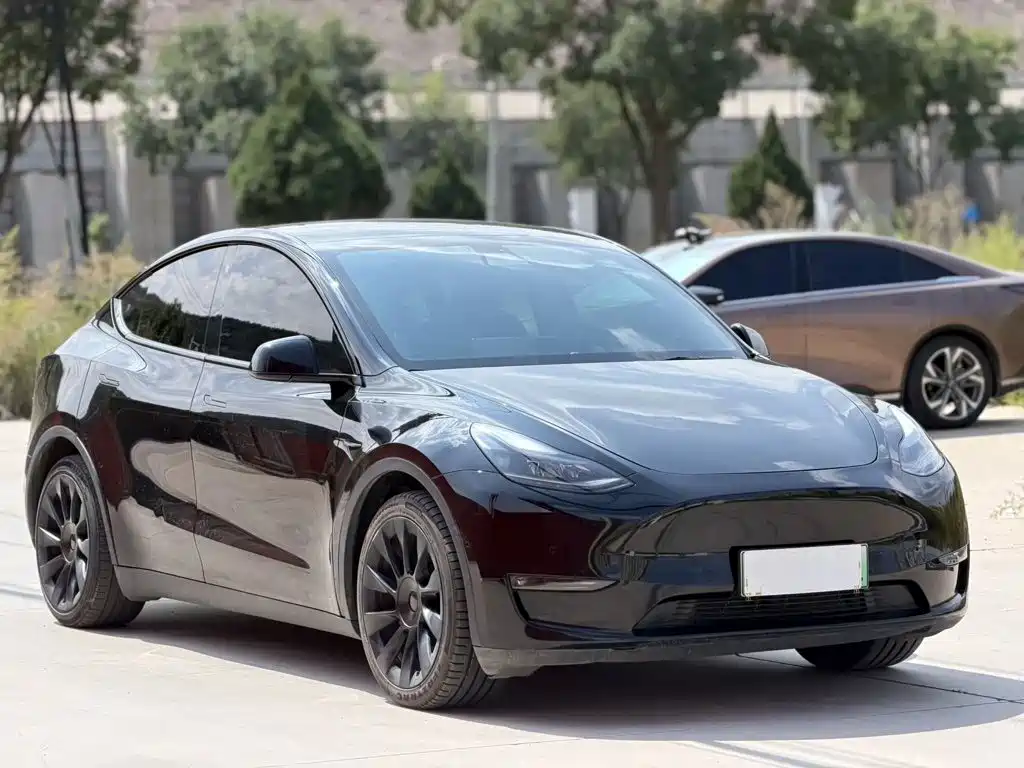 Tesla Model Y — фото 3