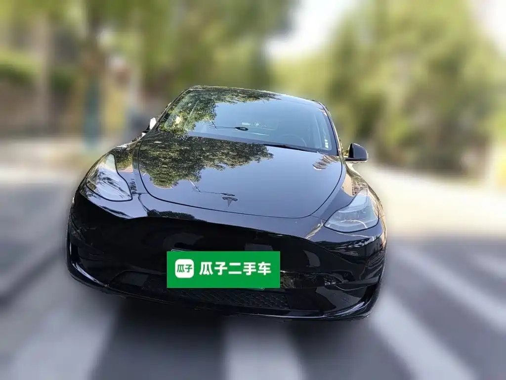Tesla Model Y — фото 2