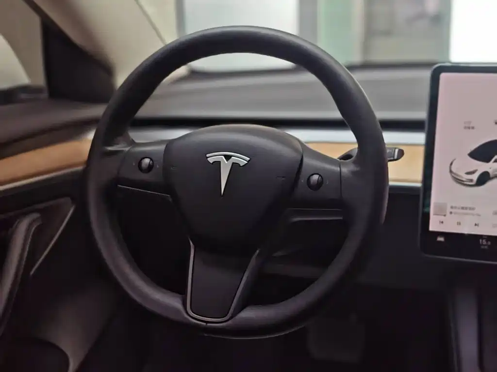 Tesla Model 3 — фото 9
