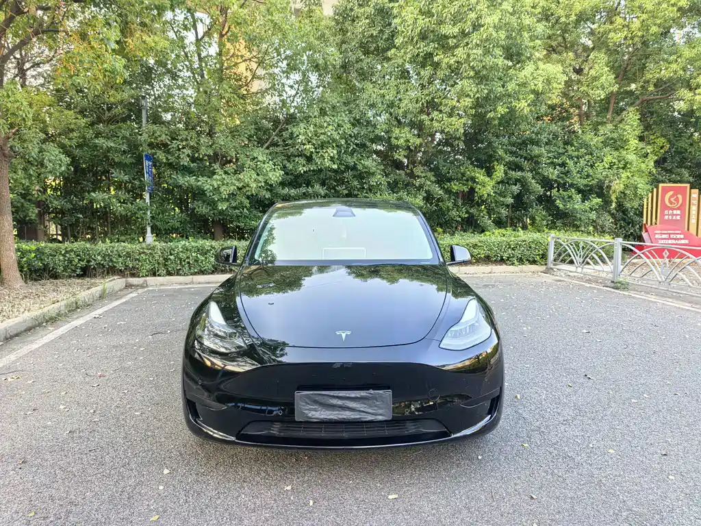 Tesla Model Y — фото 2