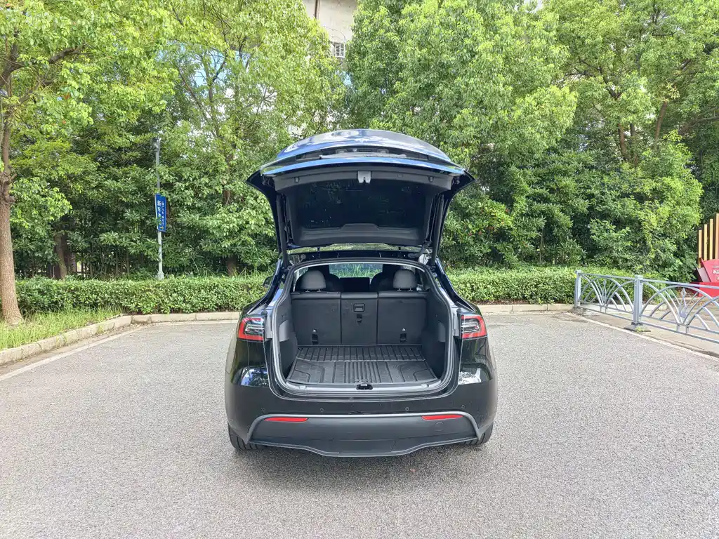 Tesla Model Y — фото 17