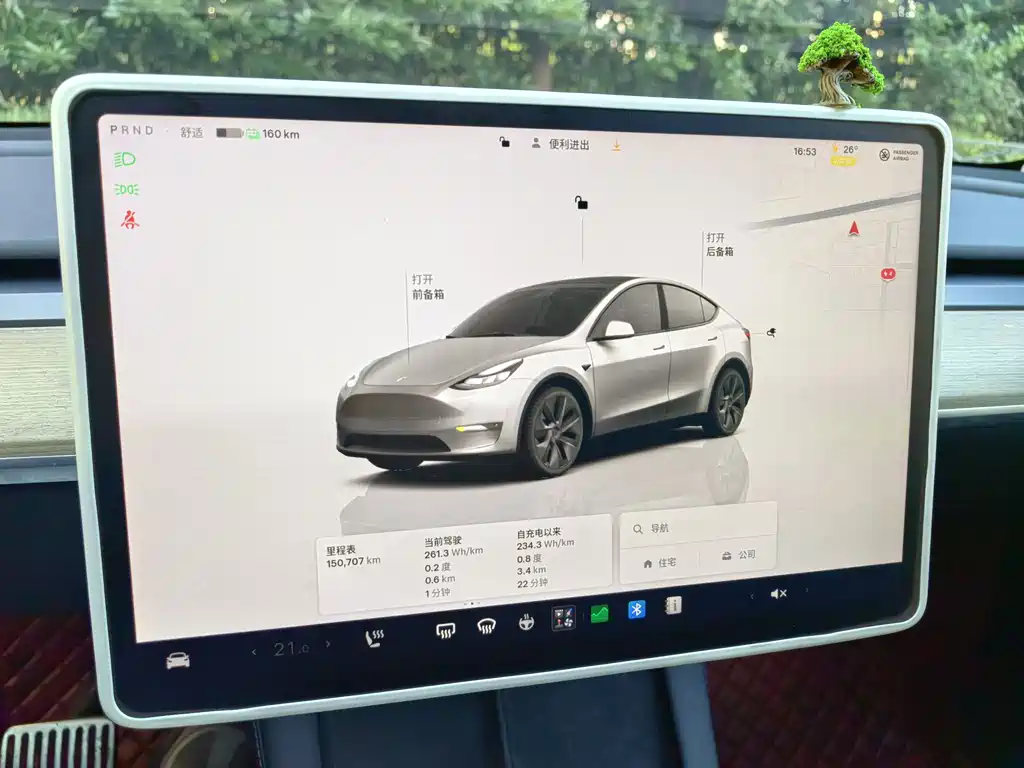 Tesla Model Y — фото 8