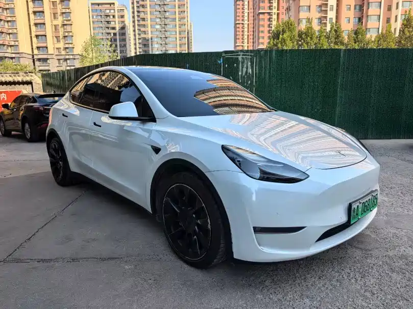 Tesla Model Y — фото 3