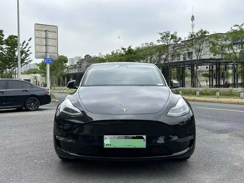 Tesla Model Y — фото 2